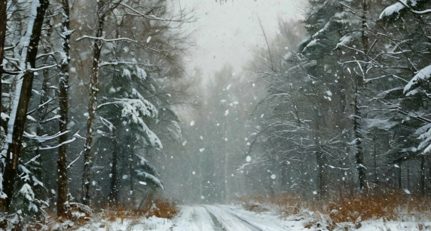 О плохих погодных условиях предупредили синоптики Удмуртии