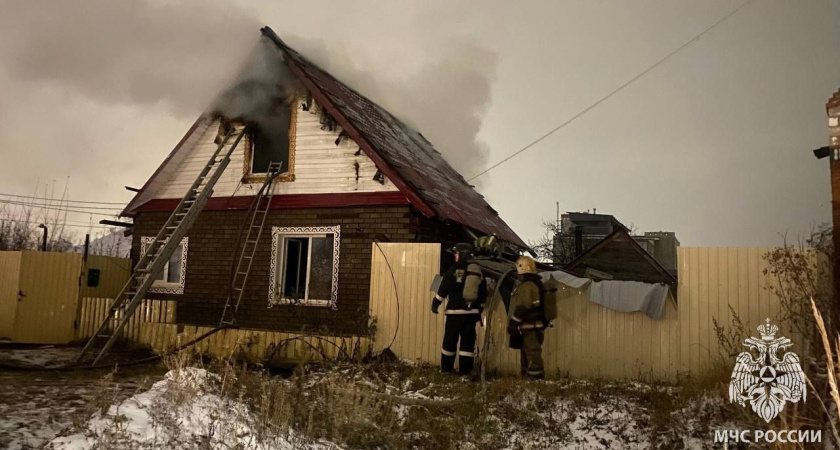 Кот погиб на пожаре в Ижевске