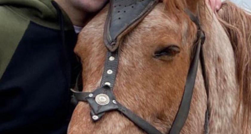 Глава Глазова Сергей Коновалов вошел в шорт-лист политической премии «Гамбургский счет»