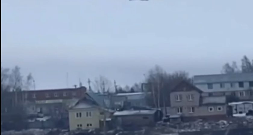 На замерзающем пруду села Завьялово жители увидели одинокого лебедя