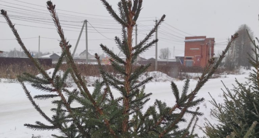 Погода в Глазове на 9 декабря