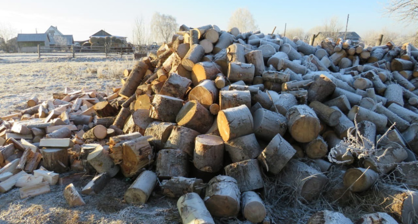 Житель Балезинского района по закону ответит за вырубку деревьев