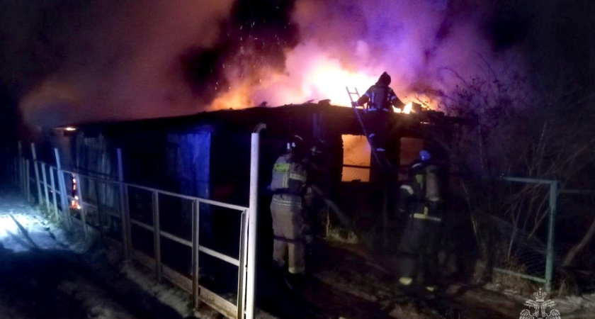 Садовый дом, баня и легковой автомобиль сгорели в Удмуртии