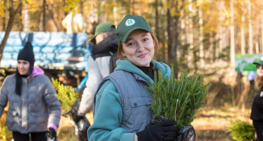 За шесть лет в Удмуртии восстановили порядка 65 тысяч гектаров леса