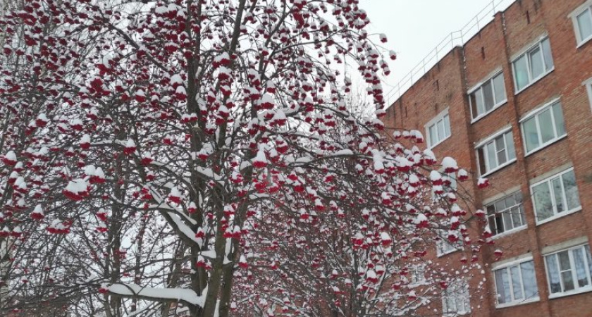 За эту неделю в Удмуртии выпадет много снега