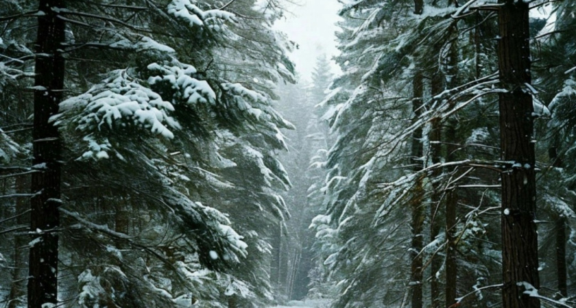 Выходные в Удмуртии будут снежными