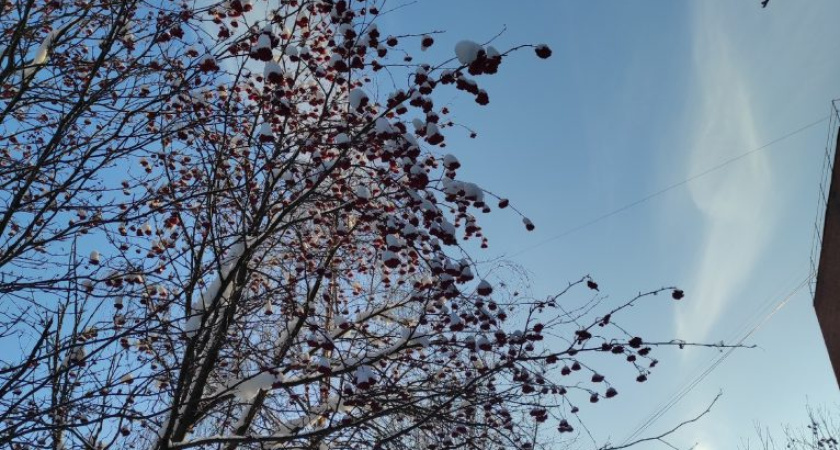 Погода в Глазове на 21 декабря