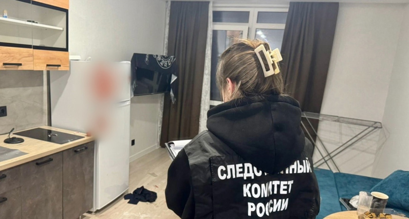В Ижевске молодой человек обвиняется в убийстве знакомого