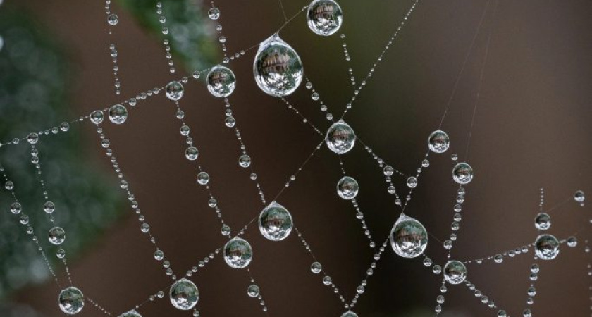 Глазовчанка вошла в ТОП лучших фотографов