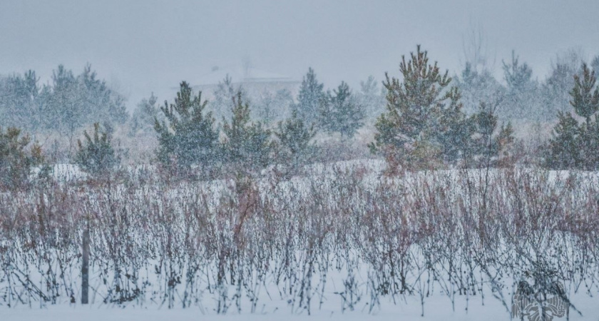 Жителей Удмуртии предупреждают о неблагоприятных погодных условиях