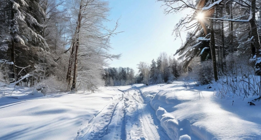 В Удмуртии за праздничные дни выпало более 70% месячной нормы снега
