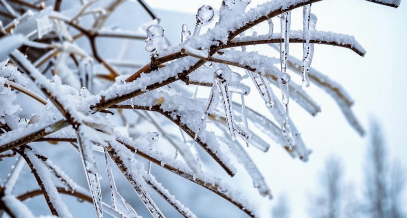 Погода в Глазове на 14 января