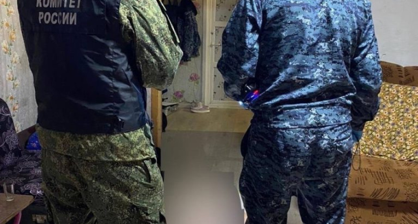 Жительница Удмуртии вонзила нож в спину сожителя