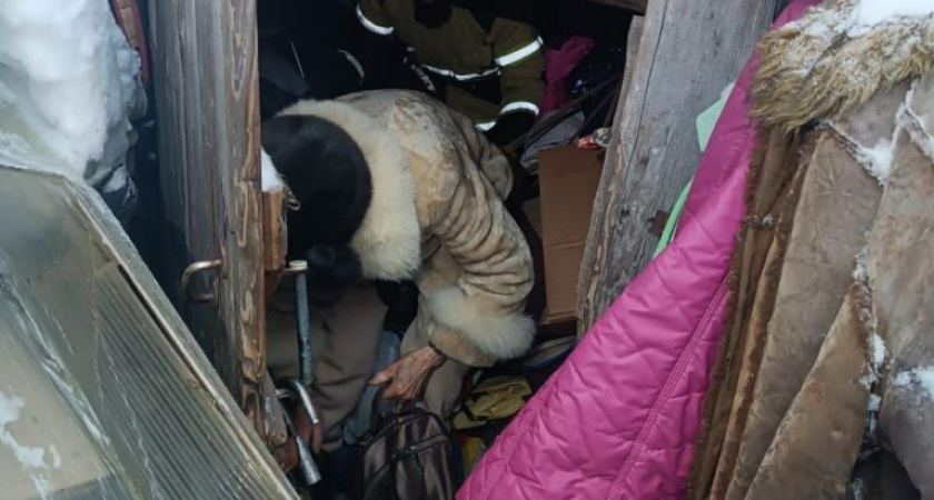 Пенсионерку в Сарапуле спасли из дровяного плена