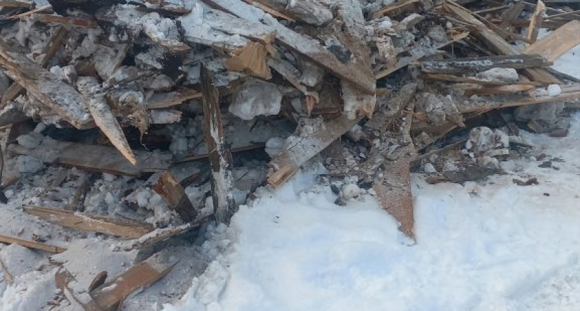 Волонтеры глазовского приюта для бездомных животных просят помощи