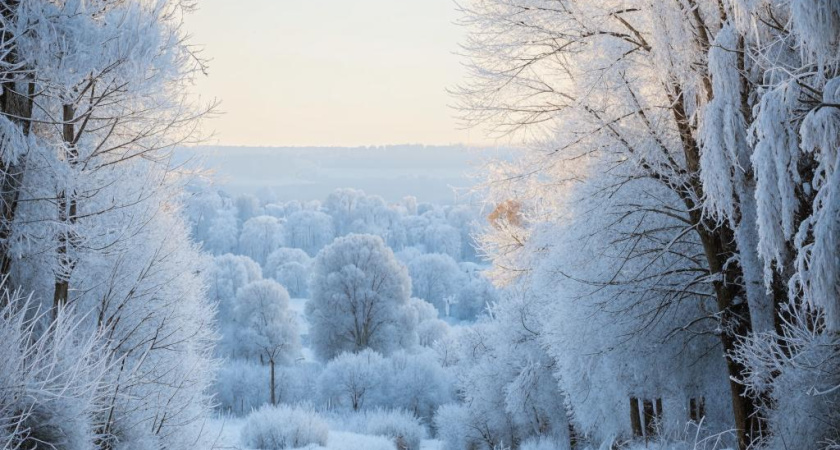 Крещенские морозы хоть с опозданием, но придут в Удмуртию