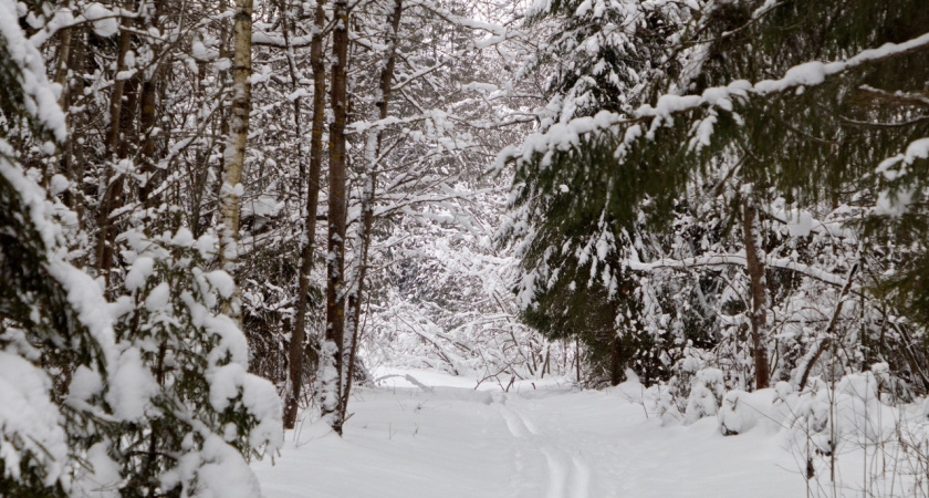 В Удмуртии вновь установится снежная погода