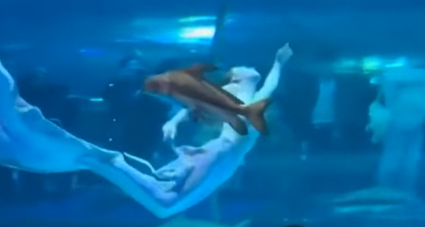 Девушку-аниматора Марию из Сарапула чуть не съел осетр в Китае