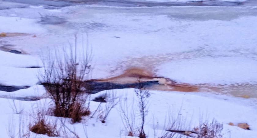 Экологическую обстановку проверяют на реке Уве в Вавожском районе