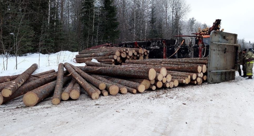 Полуприцеп с бревнами опрокинулся в Удмуртии