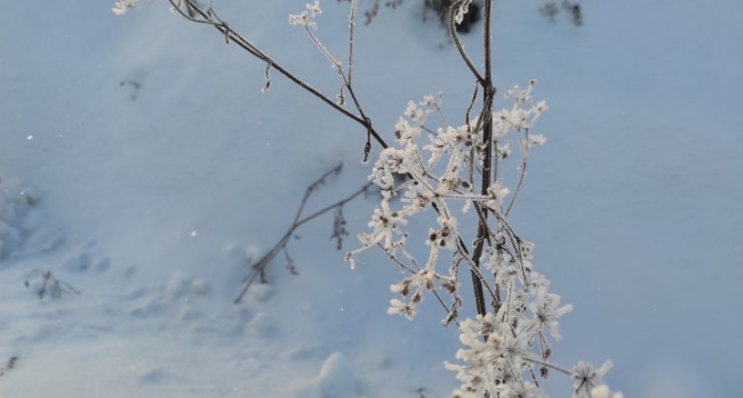 Погода в Глазове на 16 февраля