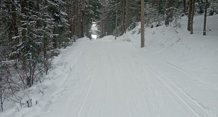 Погода в Глазове на 18 февраля