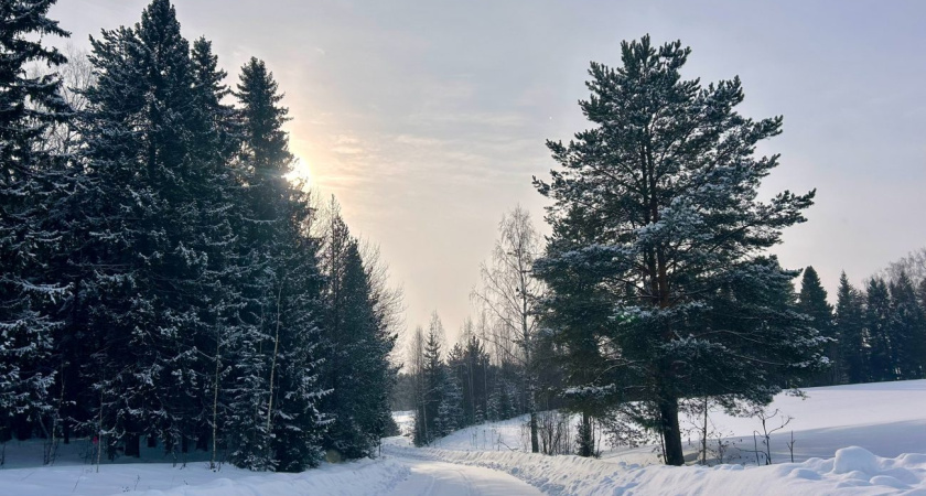 Погода в Глазове на 23 февраля