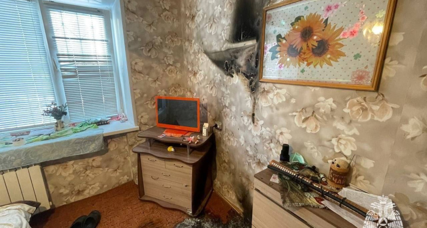 Картина-обогреватель чуть не спалила квартиру в Удмуртии