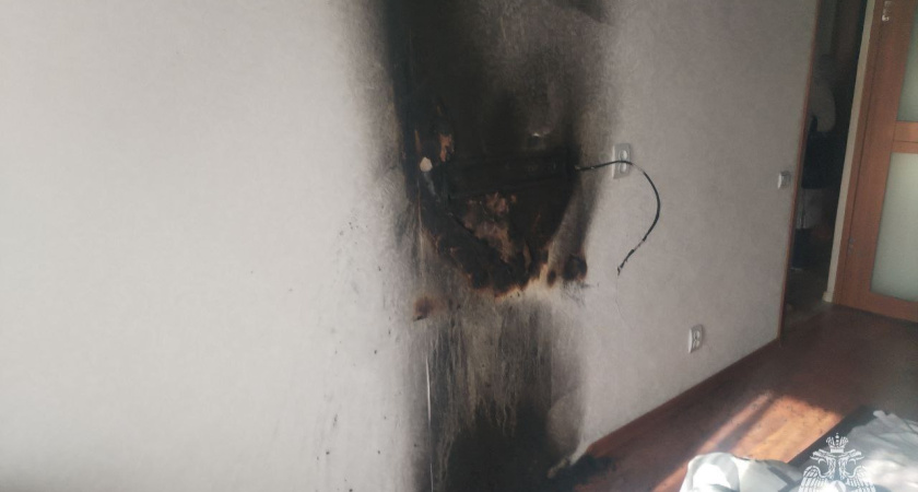 В Удмуртии пока хозяев не было дома, в квартире загорелся плазменный телевизор