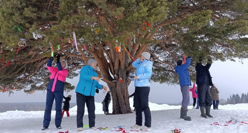 300-летнюю сосну очистили от мусора в деревне Большой Кияик