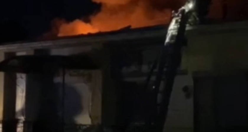 Три миллиона насекомых чуть не сгорели на пожаре в Ижевске