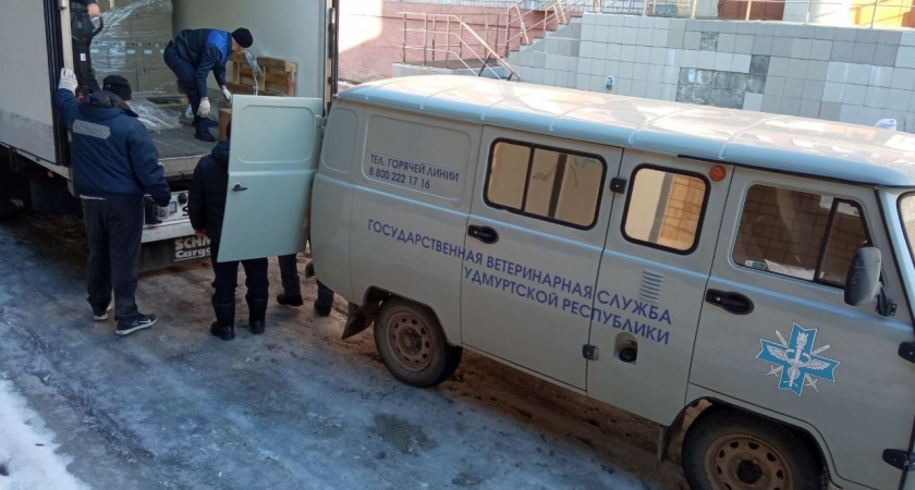 В Удмуртии поступила оральная вакцина для профилактики бешенства