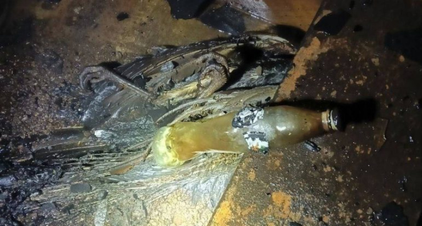 Обогреватель погубил двух павлинов и 60 кур в Удмуртии