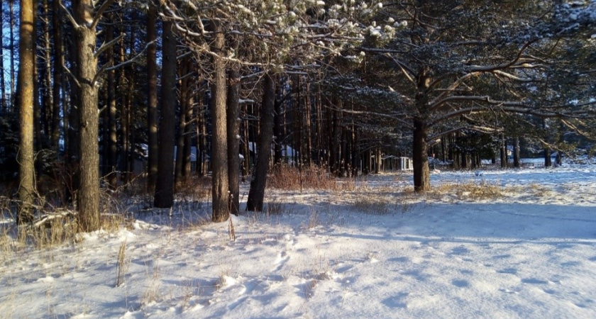 Погода в Глазове на 22 марта