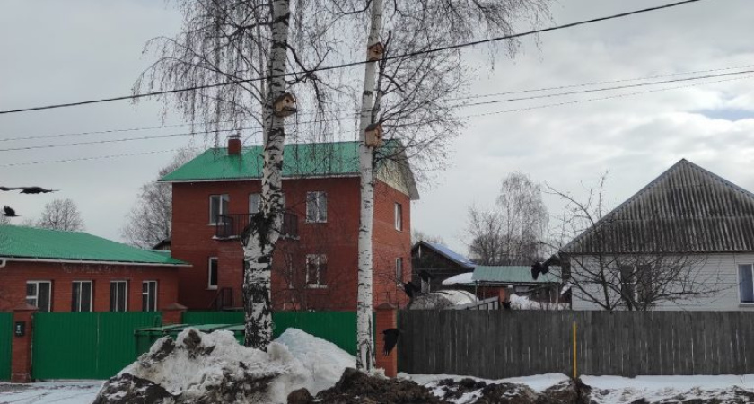 Погода в Глазове на 24 марта