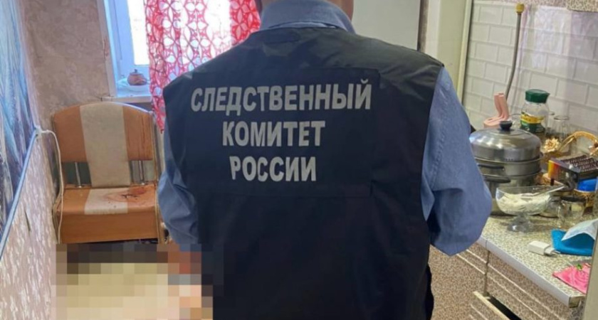Житель Удмуртии обвиняется в убийстве сожительницы