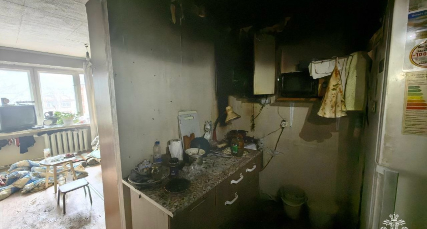 Жительница Удмуртии готовила обед и чуть не спалила весь дом