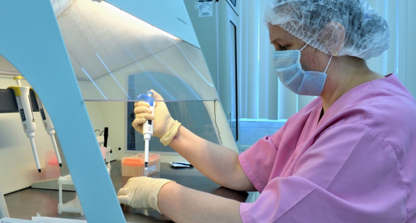 В Удмуртии пары с установленным диагнозом «бесплодие», желающие иметь ребенка, могут воспользоваться бесплатной программой экстракорпорального оплодотворения (ЭКО).