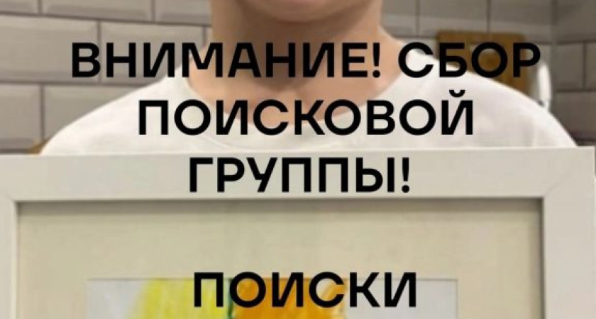 Тетя пропавшего в Воткинском районе ребенка призвала к помощи