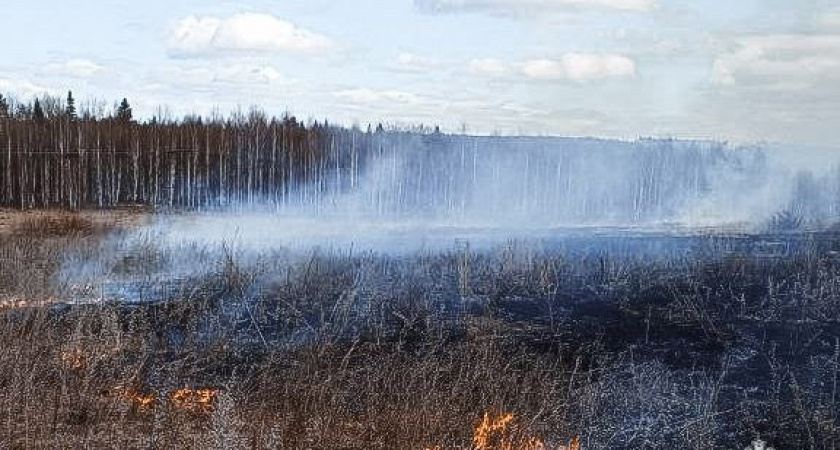 В Удмуртии - два случая горения травы за полдня