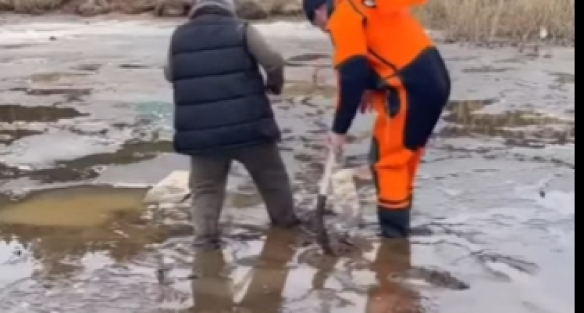 Спасатели вытащили завязшего на берегу Воткинского пруда подростка