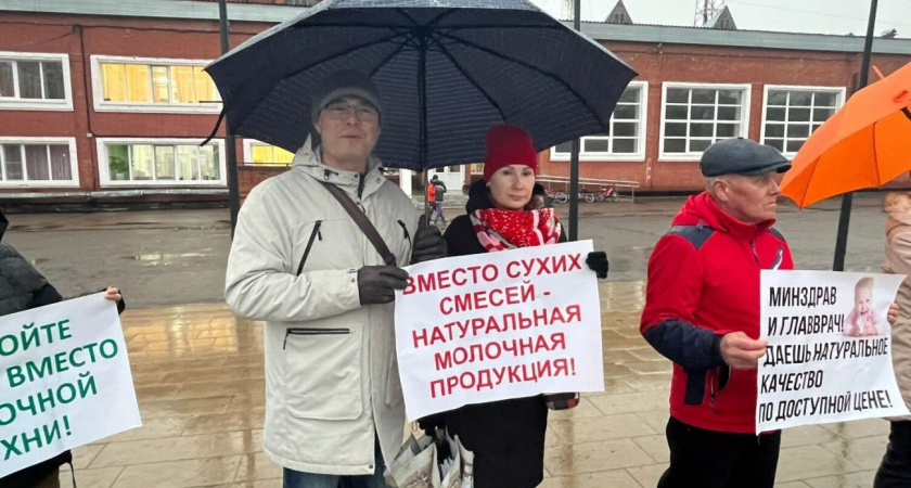 В Глазове 8 апреля состоялся массовый пикет в защиту детской молочной кухни