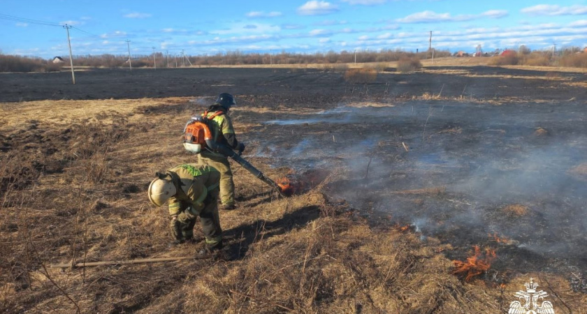 Пять ландшафтных пожаров произошли в Удмуртии 16 апреля