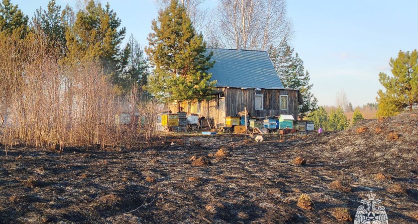 В Удмуртии активно штрафуют поджигателей сухой травы