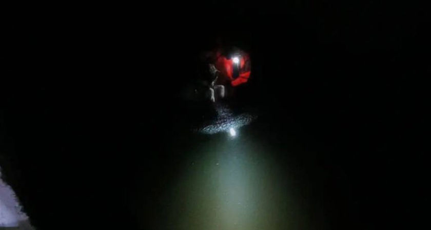 Собаку спасли на Воткинском пруду