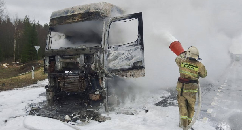 Призовые места взяли юные борцы из Глазова