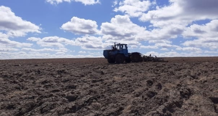 В полях Глазовского района кипит работа