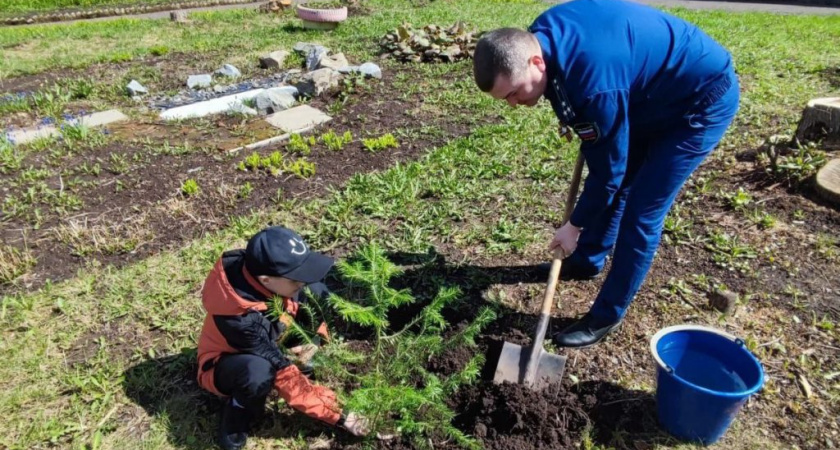 «Сад памяти» появился в Глазове