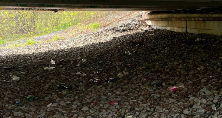 Глазовчанка самостоятельно прибрала территорию у моста через Чепцу