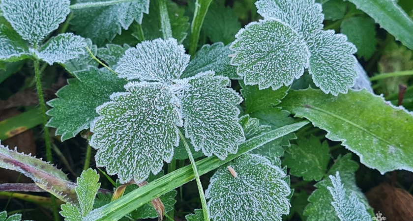 Выходные в Удмуртии обещают быть морозными